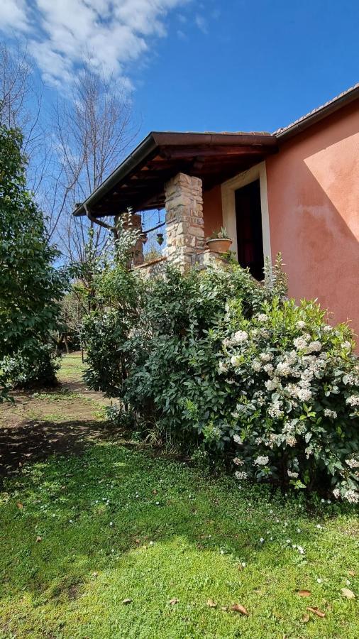 Rose Cottage Tuscany Фоздіново Екстер'єр фото